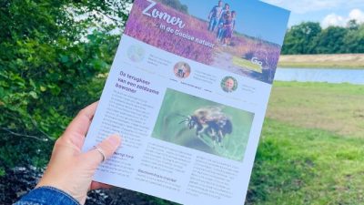 Zomernieuwsbrief GNR