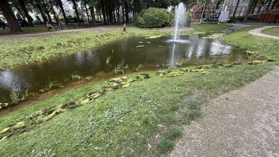 Oogstseizoen begonnen