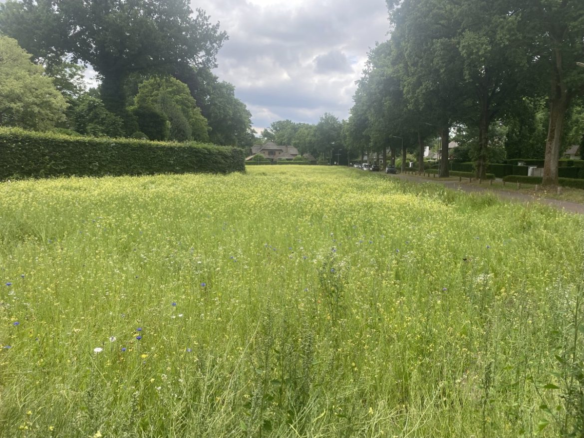 Dinsdag:1818x bekeken +Top10 meest gelezen berichten