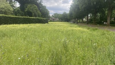 Dinsdag:1818x bekeken +Top10 meest gelezen berichten