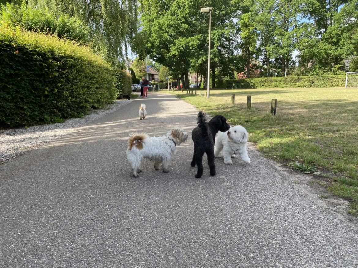 Vrijdag: 1675 x bekeken +Top 10 meest gelezen berichten