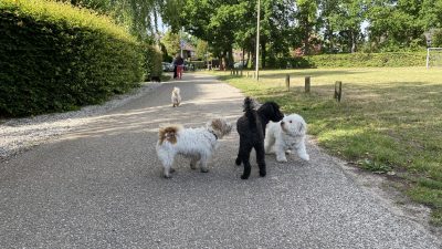 Vrijdag: 1675 x bekeken +Top 10 meest gelezen berichten