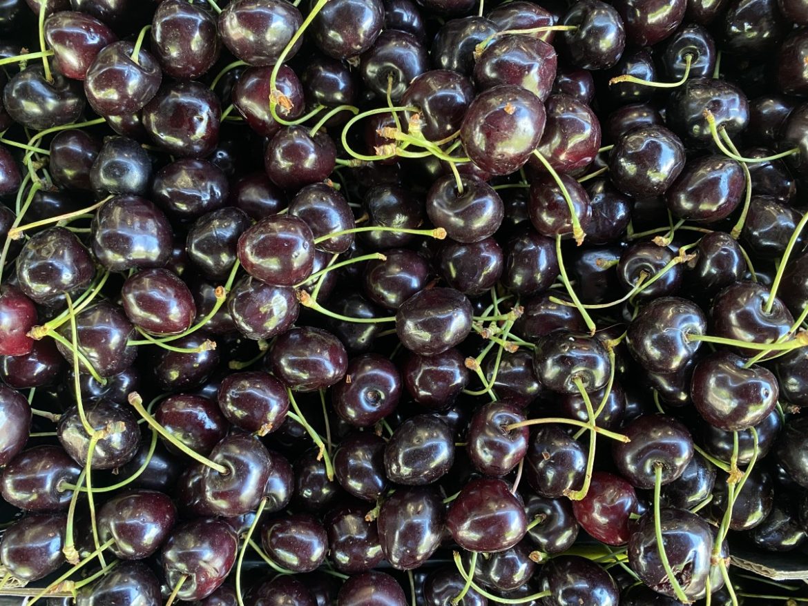 Dinsdag: 1626x bekeken +Top 10 meest gelezen berichten