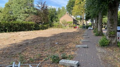 Zondag:4028x bekeken +Top 10 meest gelezen berichten