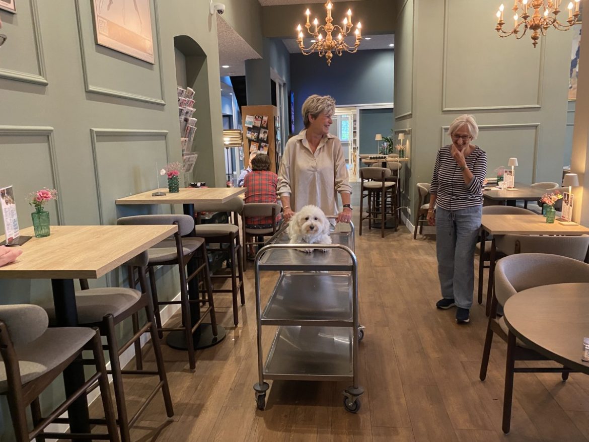 Valet Parking Brinkhuis