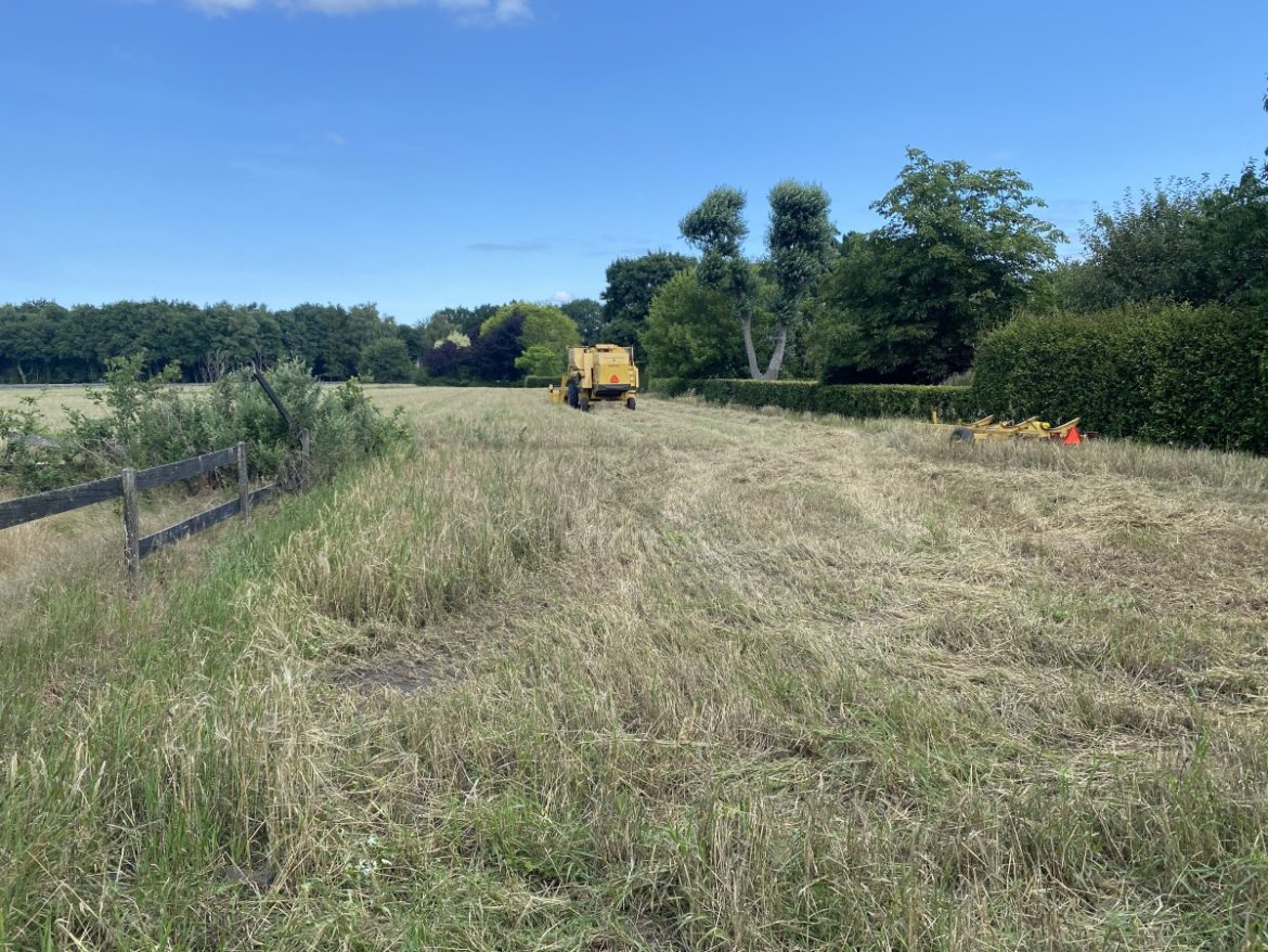 Donderdag: 2802x bekeken +Top 10 meest gelezen berichten