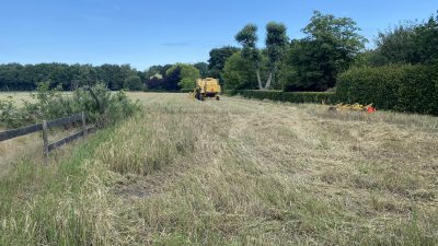 Donderdag: 2802x bekeken +Top 10 meest gelezen berichten