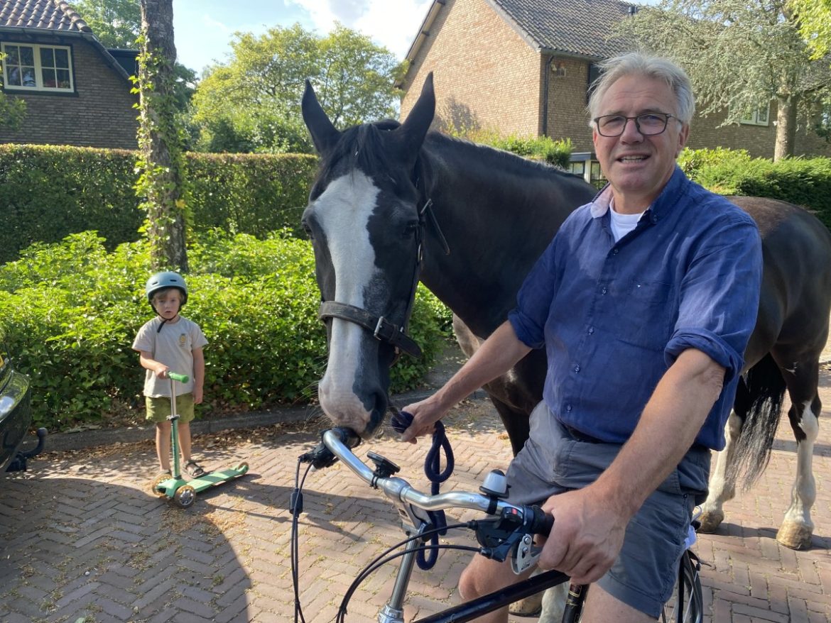 Het beste paard van stal…