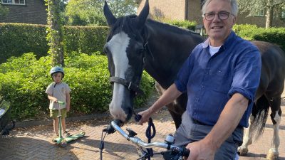 Het beste paard van stal…