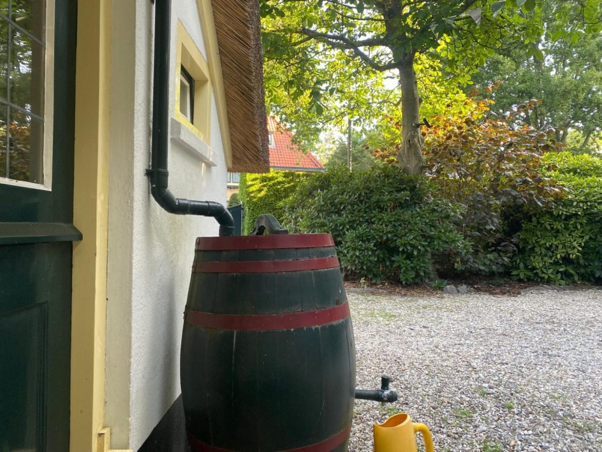 Vang regenwater op, daar heb je later profijt van!