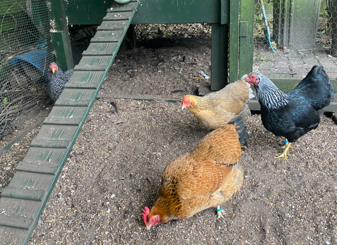 Bol-an 370:  De vakantie kon niet slechter beginnen…