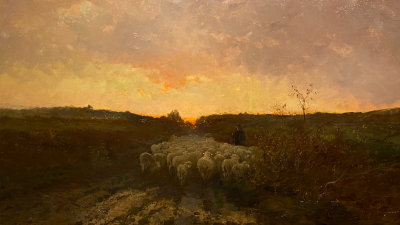 Woensdag 1721x bekeken +Top 10 meest gelezen berichten