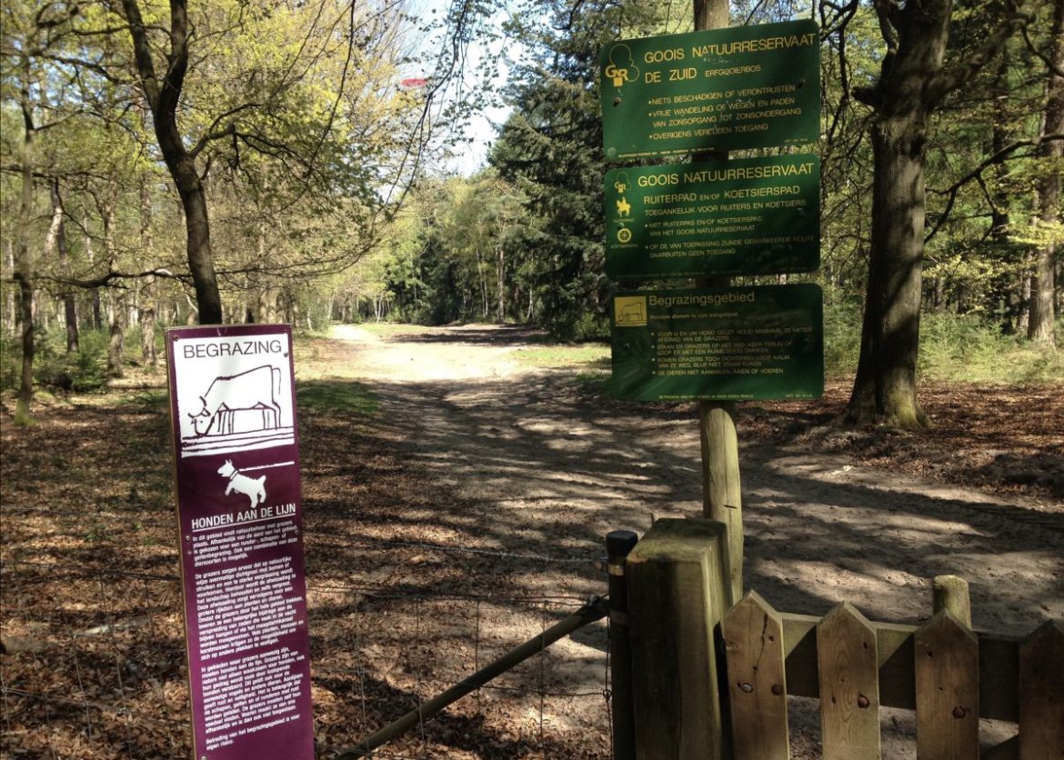 Toegankelijke natuur: GNR vervangt roosters op 36 locaties