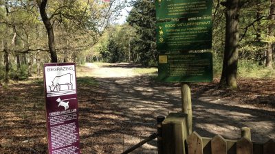 Toegankelijke natuur: GNR vervangt roosters op 36 locaties