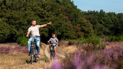 Een zee van paars…