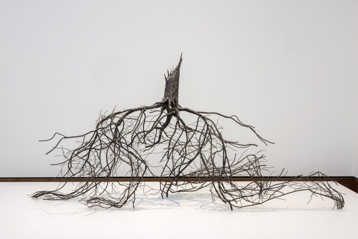 Nog een week  ‘Wij zijn natuur’