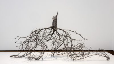 Nog een week  ‘Wij zijn natuur’