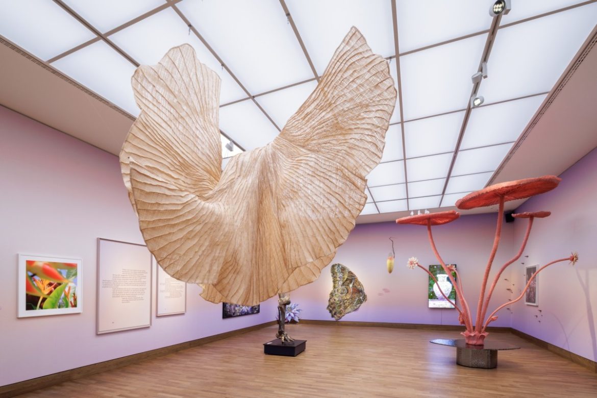 Wij Zijn NatuurI Diana Orving