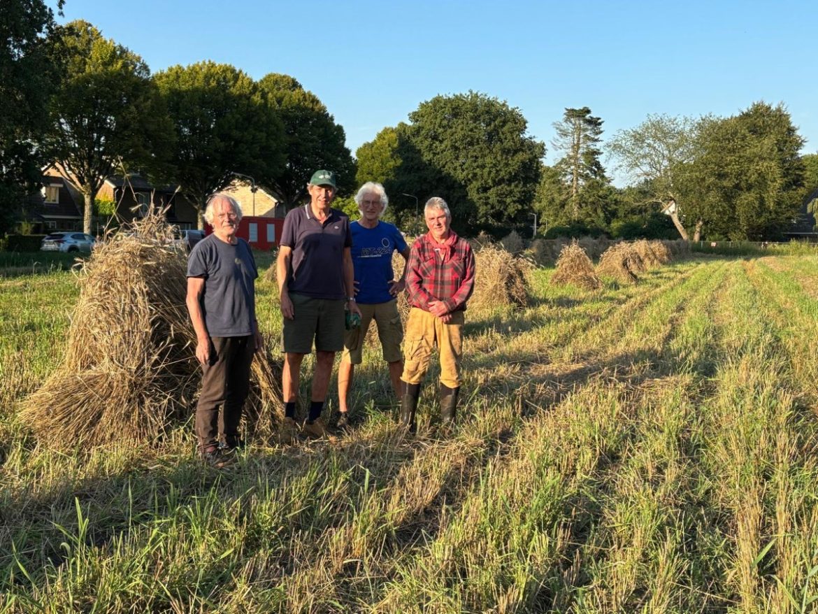 S.O.L.L. plaatst schoven op akker: goed voor het drogen