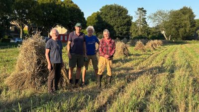 S.O.L.L. plaatst schoven op akker: goed voor het drogen
