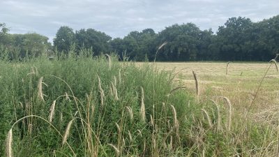 Donderdag 3687x bekeken +Top 10 meest gelezen berichten