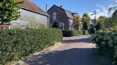 Zondag:3427x bekeken +Top 10 meest gelezen berichten