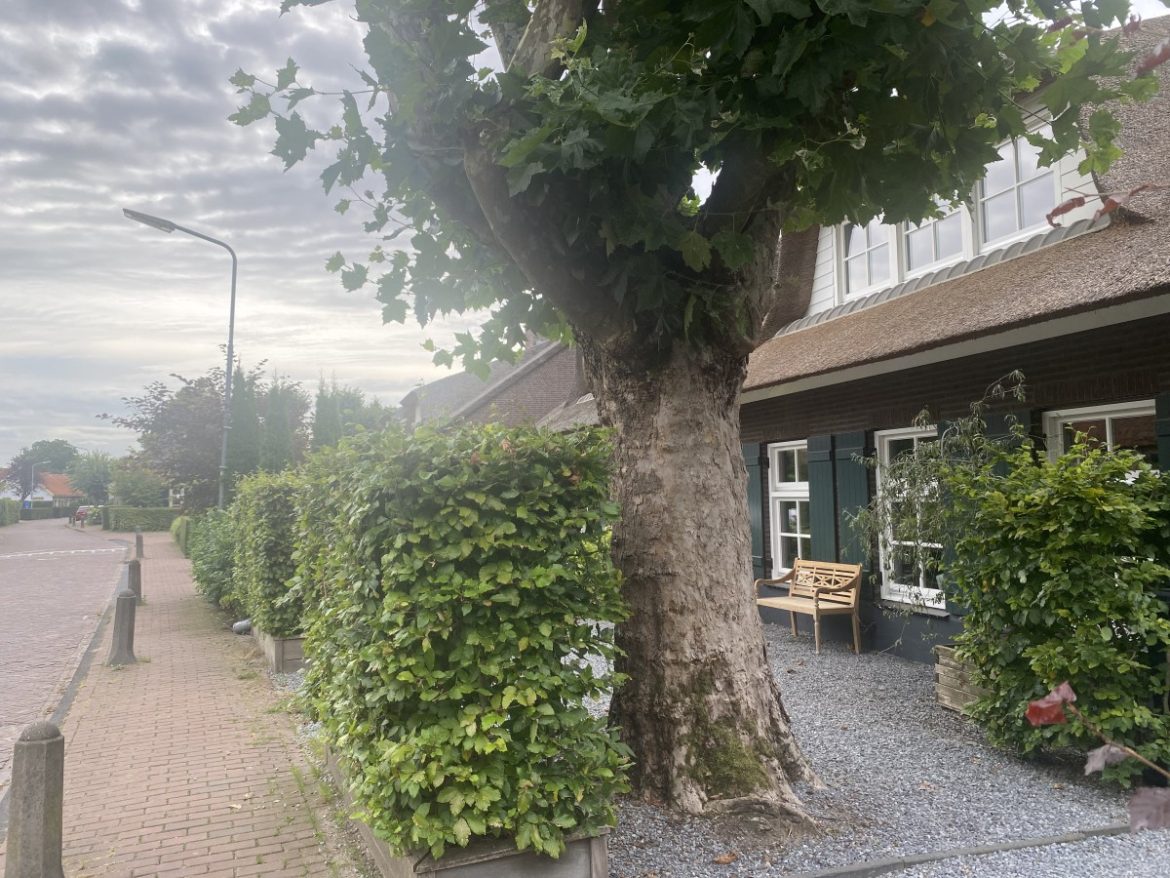 Zaterdag:1666x bekeken +Top10 meest gelezen berichten