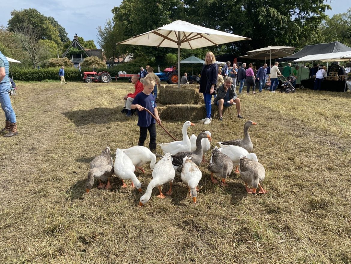 Vandaag Oogstfeest aan de Drift
