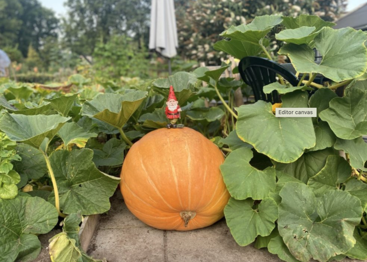 Website ‘Bol-an’ tot 1 september  kwetsbaar