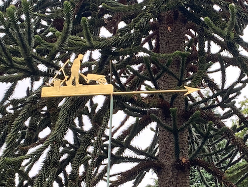 Zondag: 2225x bekeken +Top 10 meest gelezen berichten