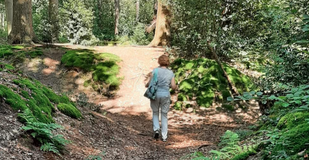 Morgen IVN wandeling Noorderheide-landgoed Lareberg -Blaricummer heide