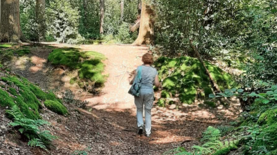 Morgen IVN wandeling Noorderheide-landgoed Lareberg -Blaricummer heide