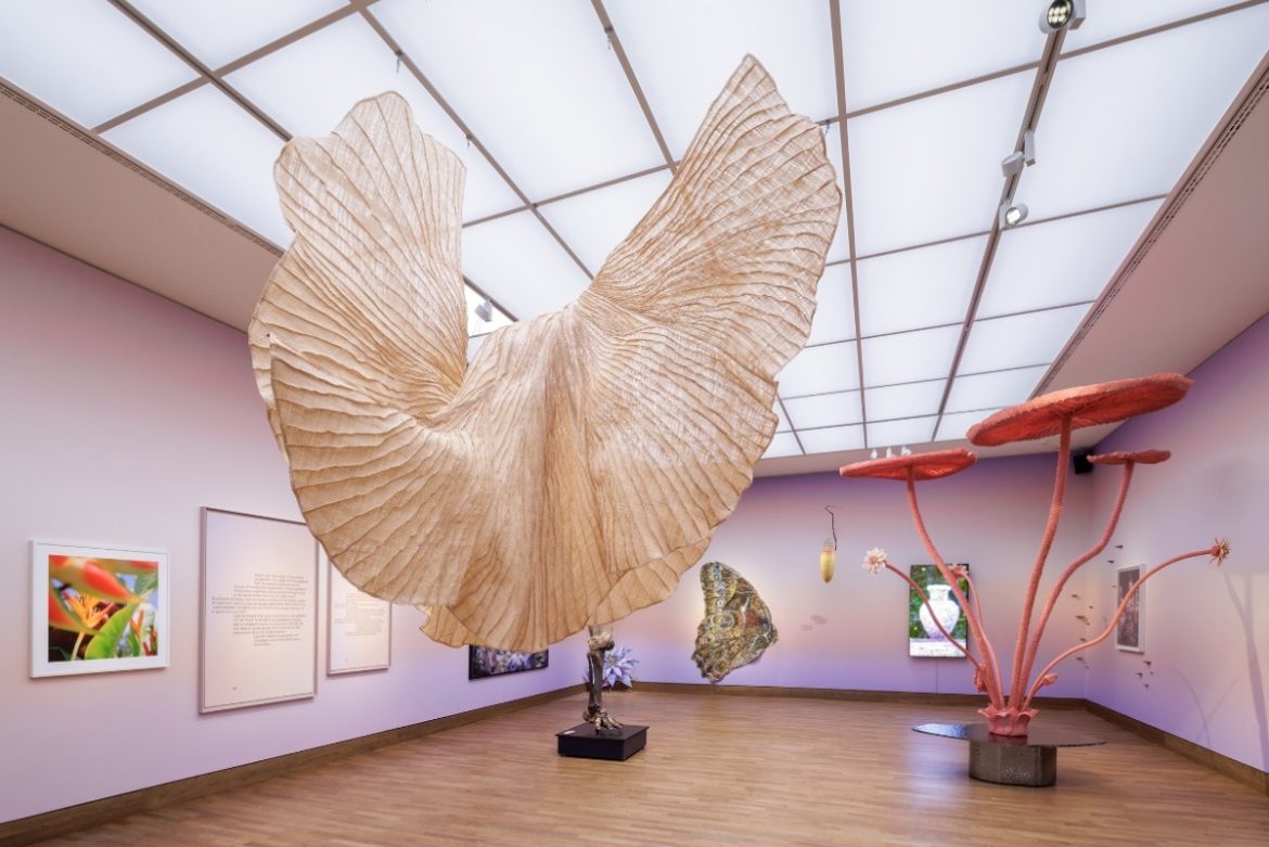 Laatste mogelijkheid