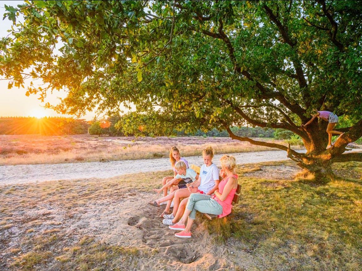 September bruist in Gooi & Vecht