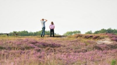 Excursie Tijdreis over de Zuiderheide