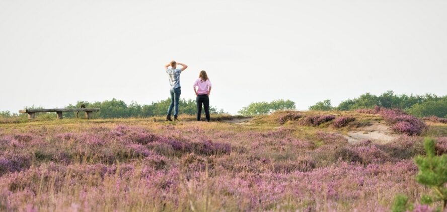 Excursie Tijdreis over de Zuiderheide