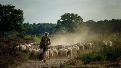 Zondag: 2492x bekeken +Top 10 meest gelezen berichten