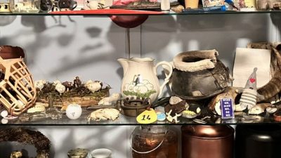 Rariteiten op de hei