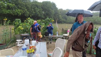 Nieuw gezegde: ‘na zonneschijn komt regen’