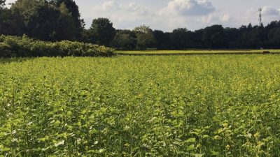 Nog een paar dagen…