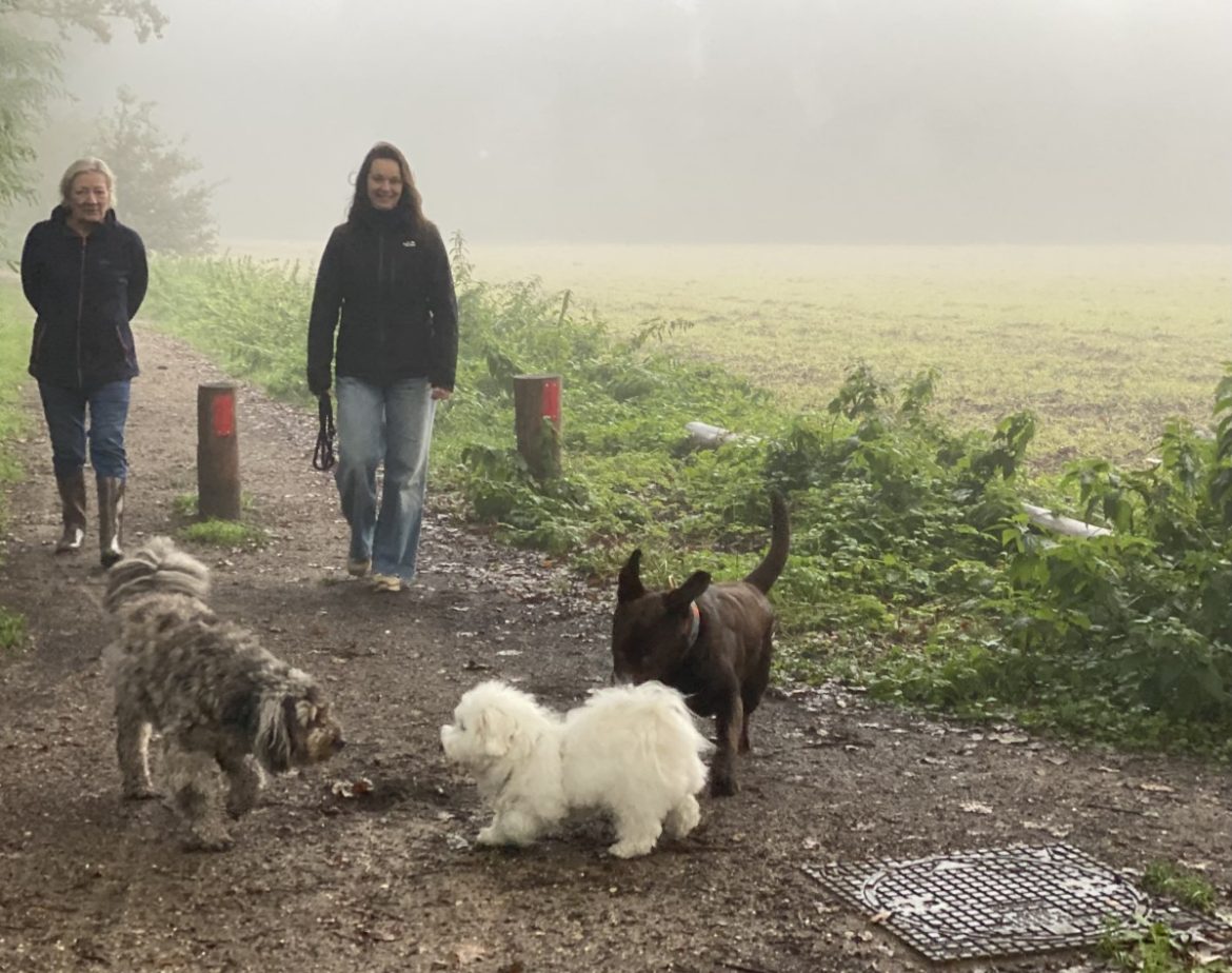 Bol an- dierendag wandeling op 4 oktober: hond meenemen mag!