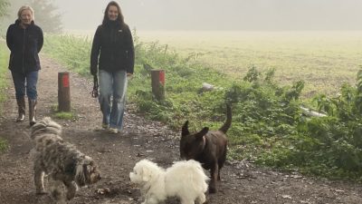 Bol an- dierendag wandeling op 4 oktober: hond meenemen mag!