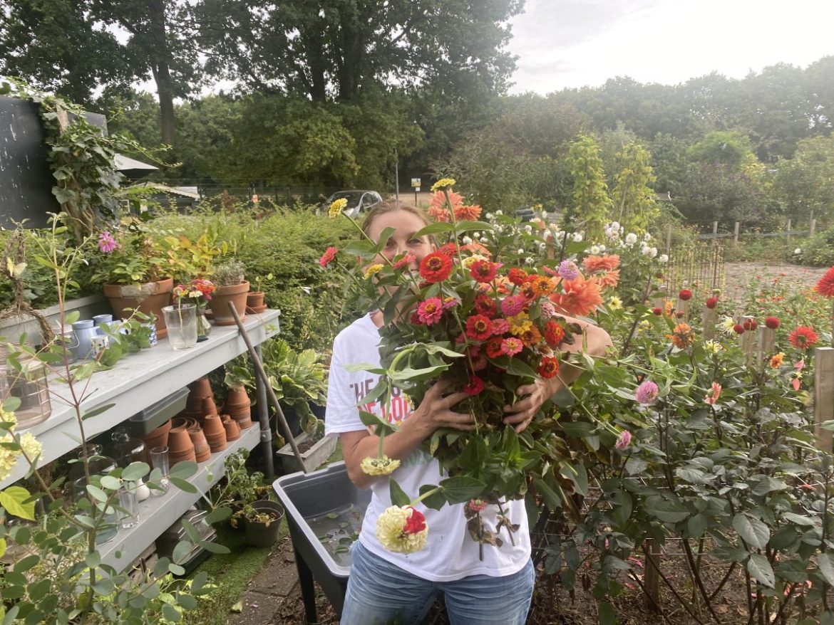 Recordweek met gemiddeld 5.552 views per dag!!