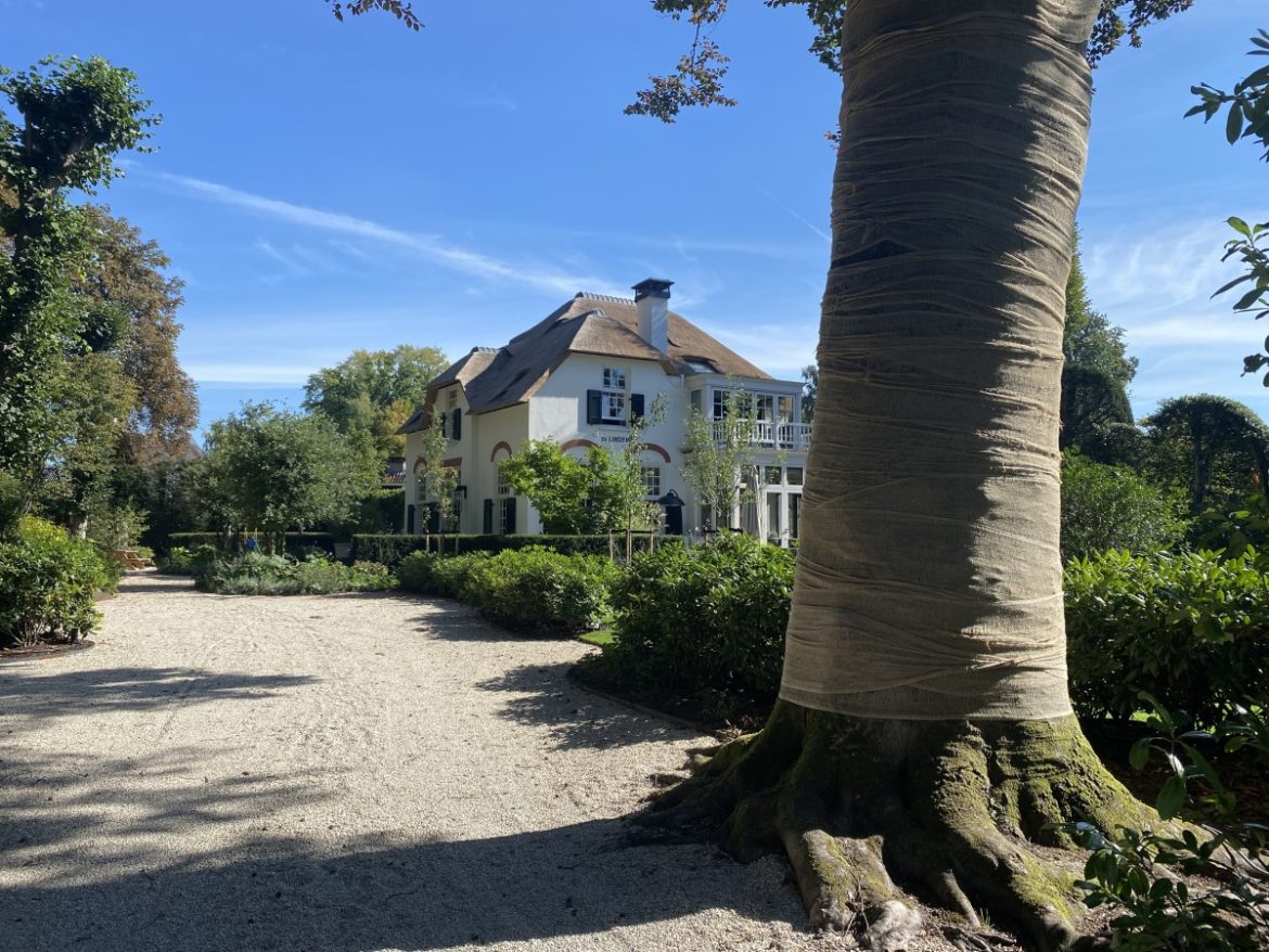 ( Nieuw dagrecord!!) Zaterdag:6351x bekeken +Top 10 meest gelezen berichten