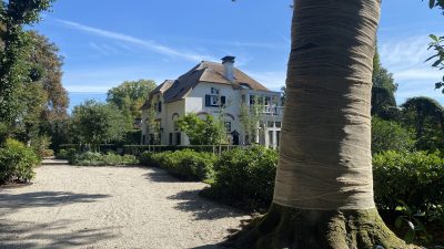 ( Nieuw dagrecord!!) Zaterdag:6351x bekeken +Top 10 meest gelezen berichten