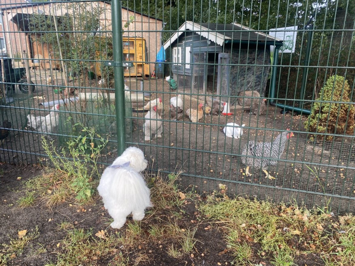 Vrijdag:1535x bekeken +Top 10 meest gelezen berichten