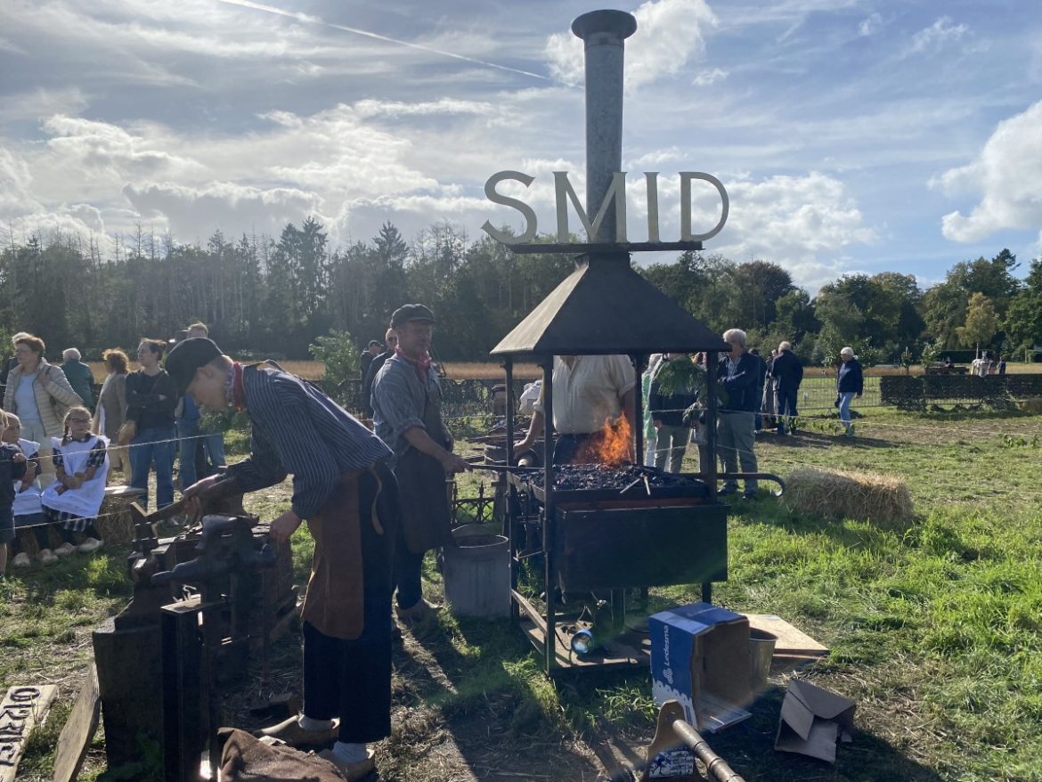 (fotoreportage) Druk bezochte ‘Dag van het werkpaard’