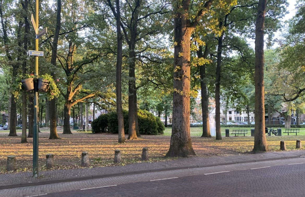 Zondag: 3697x bekeken +Top 10 meest gelezen berichten