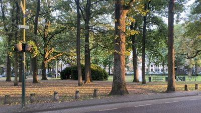 Zondag: 3697x bekeken +Top 10 meest gelezen berichten