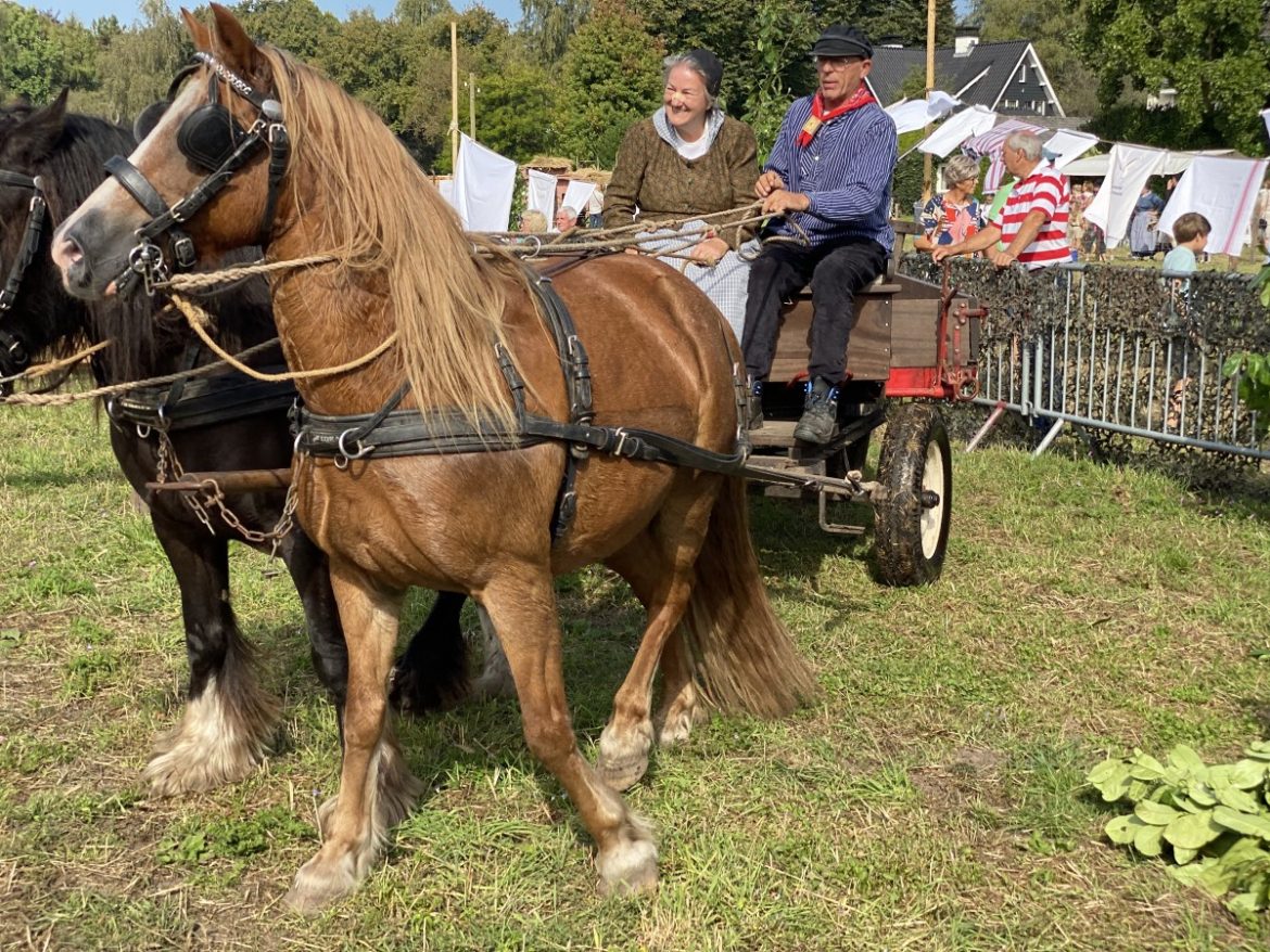 Vandaag: Traditie herleeft tijdens ‘Dag van het Werkpaard’  Nieuwe fotowedstrijd voor pubers dit jaar